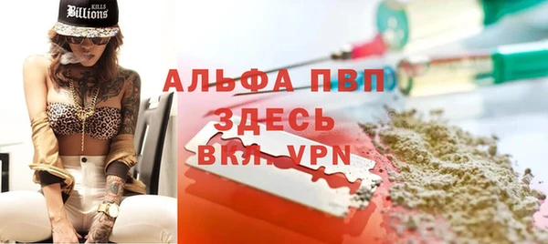 ешки Богданович