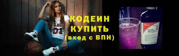 шишки Белокуриха