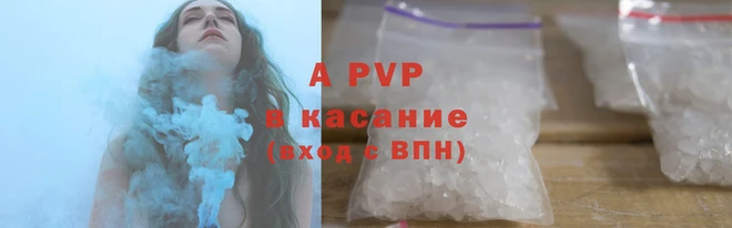 шишки Белокуриха