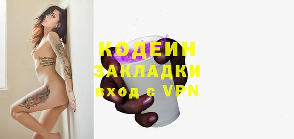 шишки Белокуриха