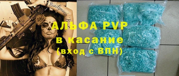 шишки Белокуриха