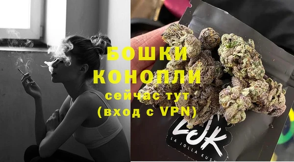шишки Белокуриха